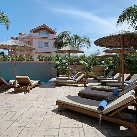 Dionysia S5 알리카나스