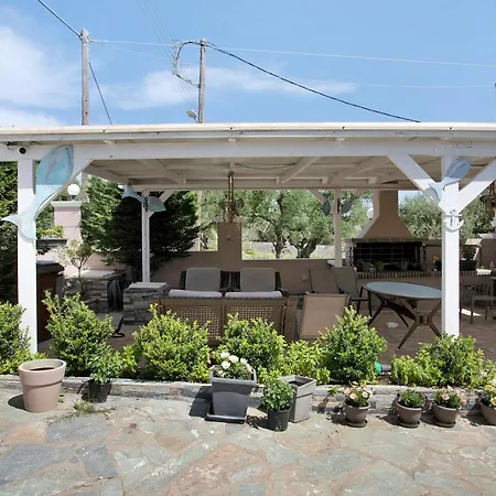 Dionysia S5 알리카나스